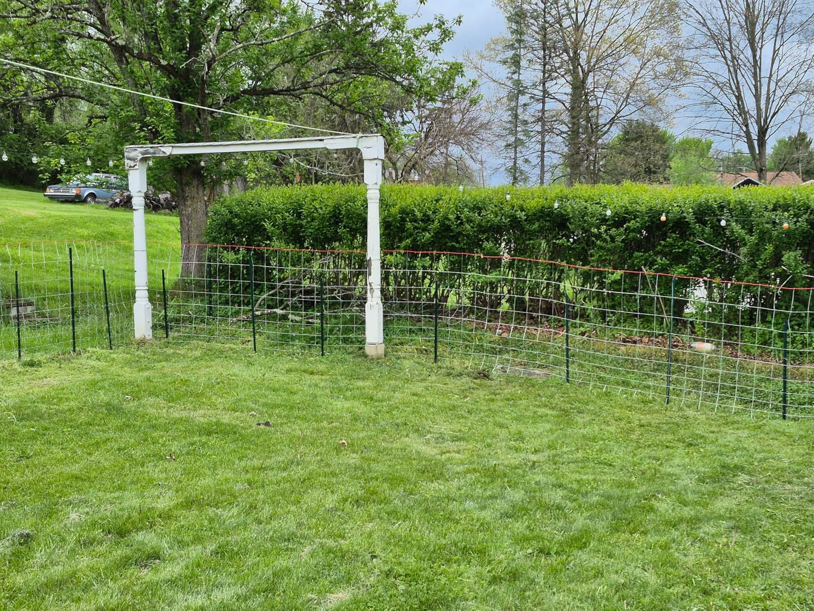 Farm Fence 4ft x 164ft Heavy Zinc Coating Cattle Fence Galvanized Field Fencing Sheep Fence Goat Fence,Hog Wire Fencing for Yard Livestock Animals Protection customer photo 1