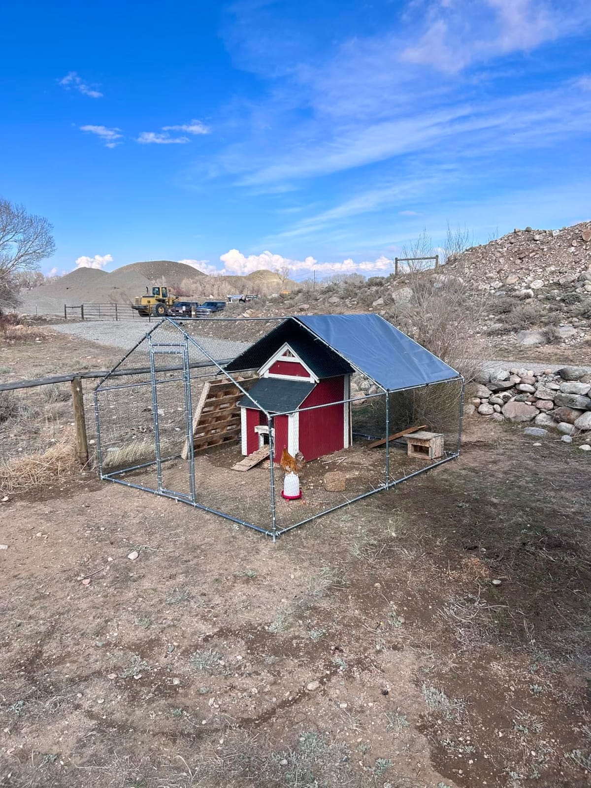HITTITE Large Metal Chicken Coop with Run, 12.8 x 9.84 x 6.56 ft Walk in Poultry Cage Chicken Run Pen, Outdoor Chicken Runs for Yard with Waterproof & Anti-UV Cover customer photo 2