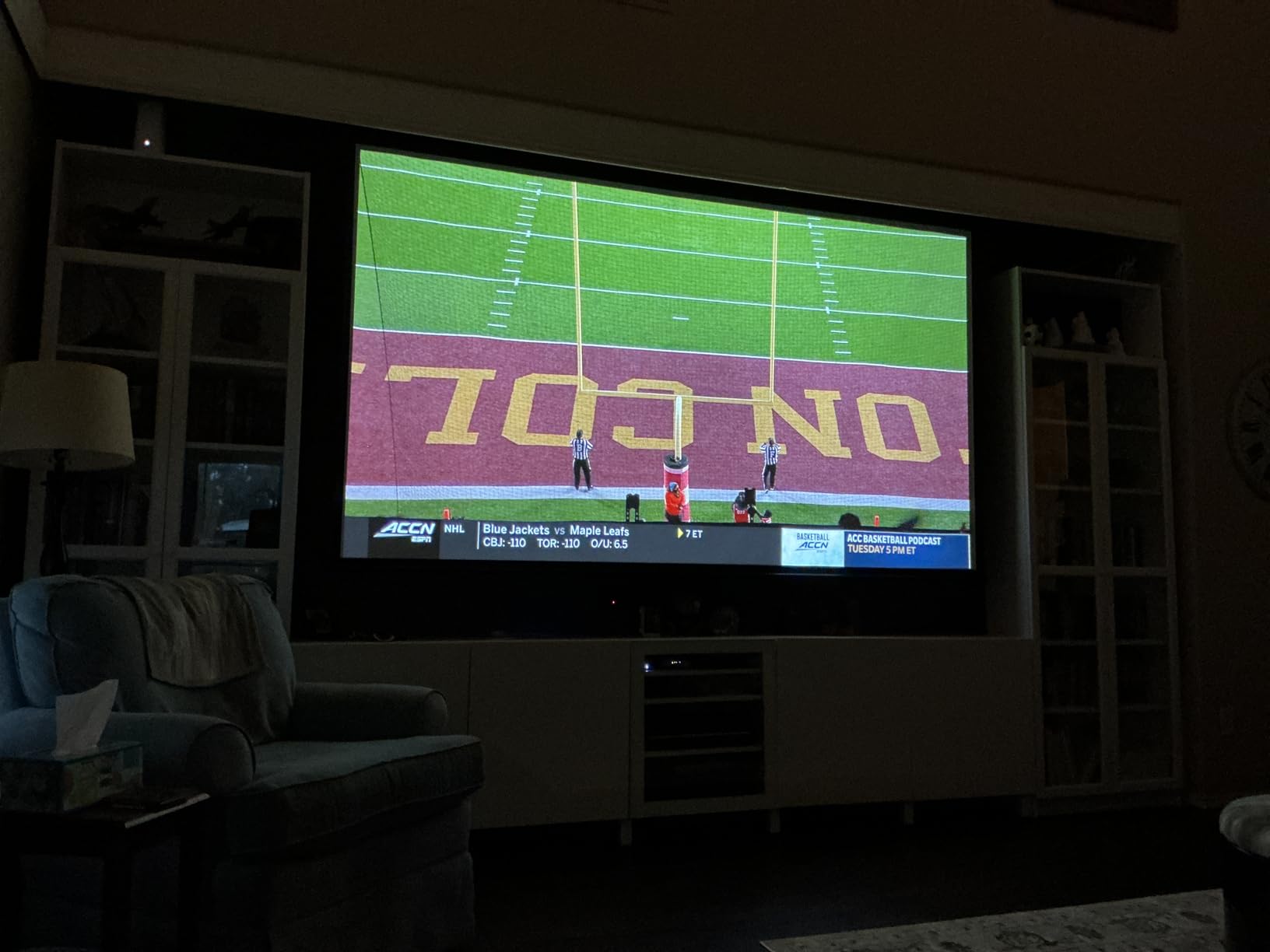 Optoma HD30LV 1080p Full HD Home Projector customer photo 1