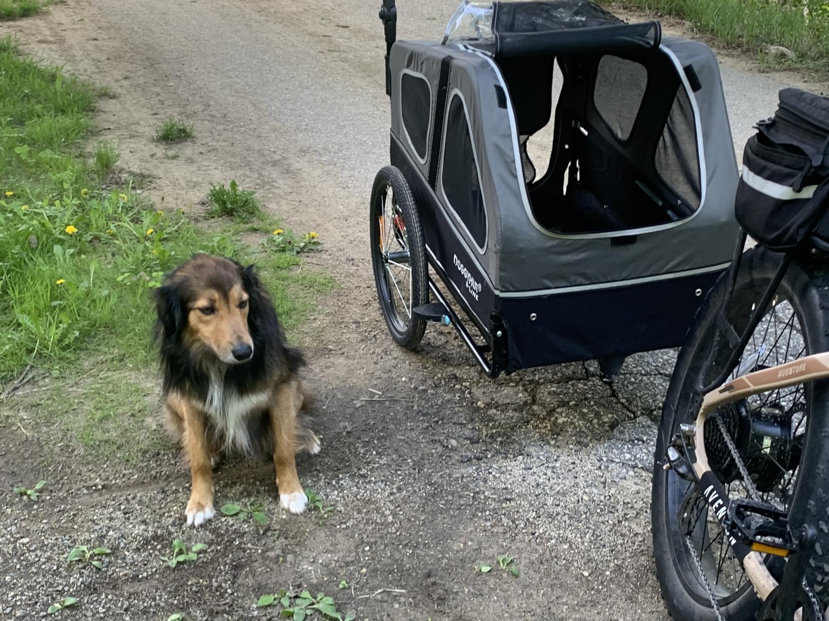 DOGGYHUT S-Line XL Pet Bike Trailer & Stroller for Large Dogs Up to 100 lbs, Folding Dog Cart with Shock-Absorbing Suspension Wheels, Low Center of Gravity, Parking Brakes customer photo 2