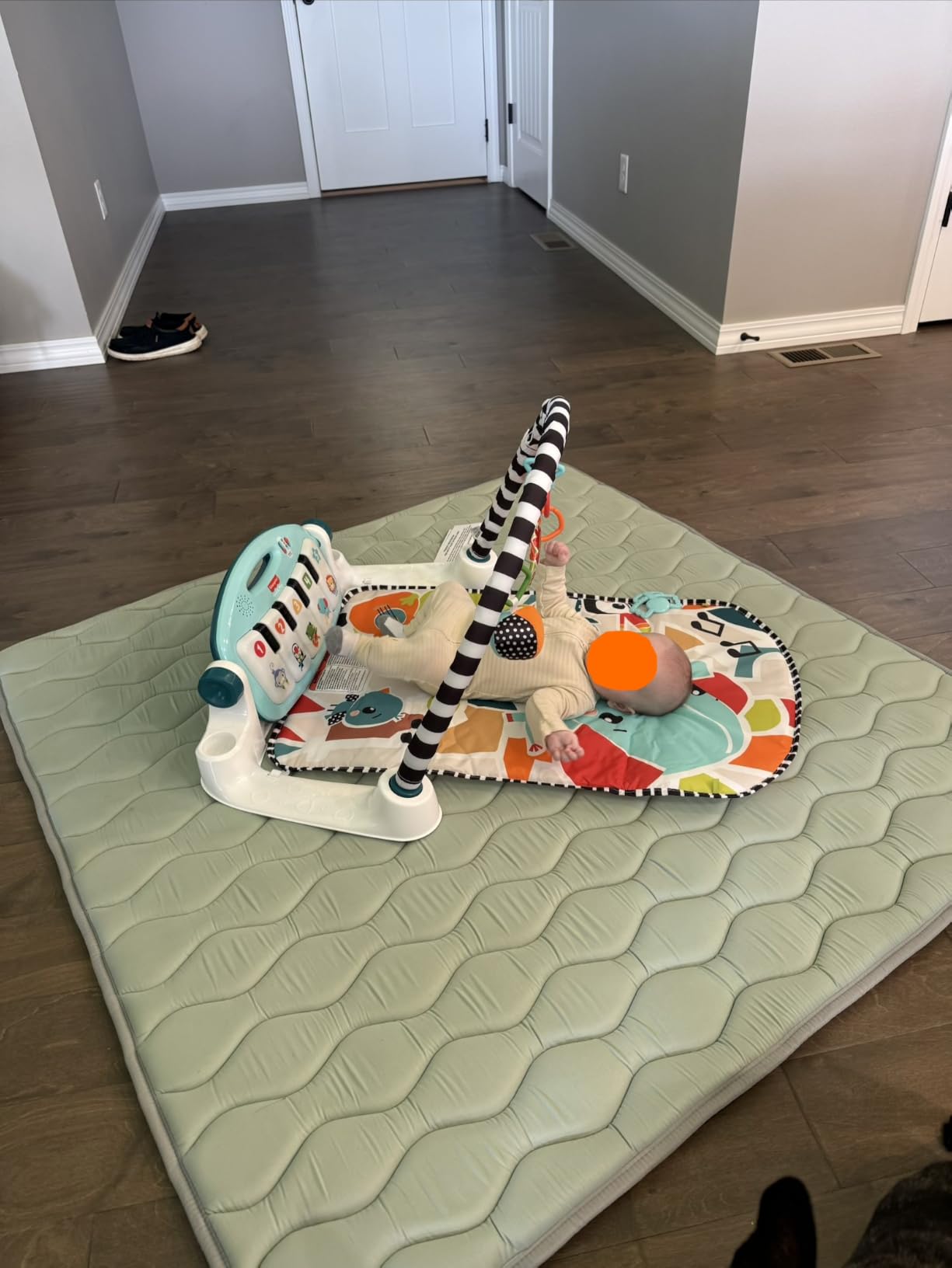 Fisher-Price Baby Playmat Glow and Grow Kick & Play Piano Gym, Blue Musical Learning Toy with Developmental Activities for Newborns 0+ Months customer photo 1