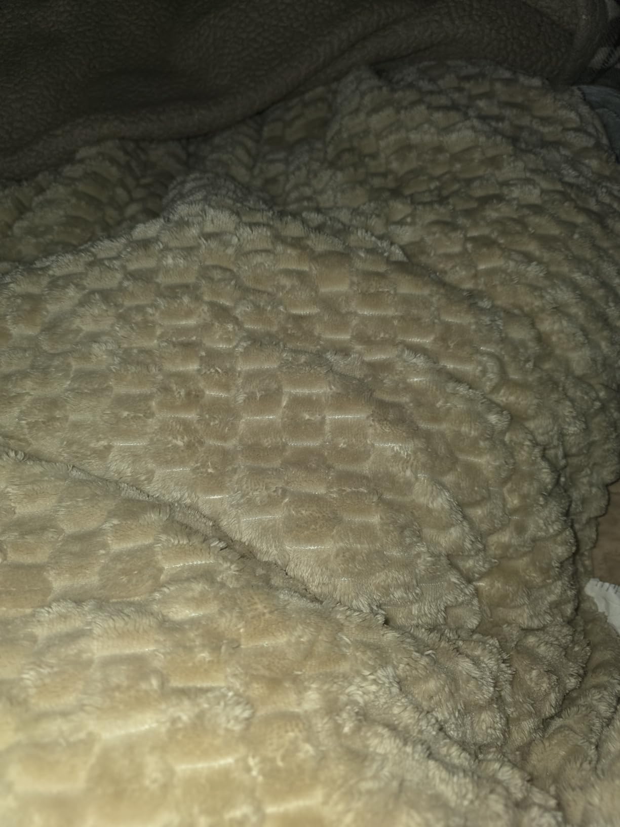 Drewin Weighted Blanket Queen Size 15lbs for Adults, Beige, 60 x 80 inches | Soft Jacquard Sherpa, Fluffy Cozy Sofa Throw Blankets for Sleep Natural and Calming, Machine Washable, Filled with Glass Beads customer photo 2