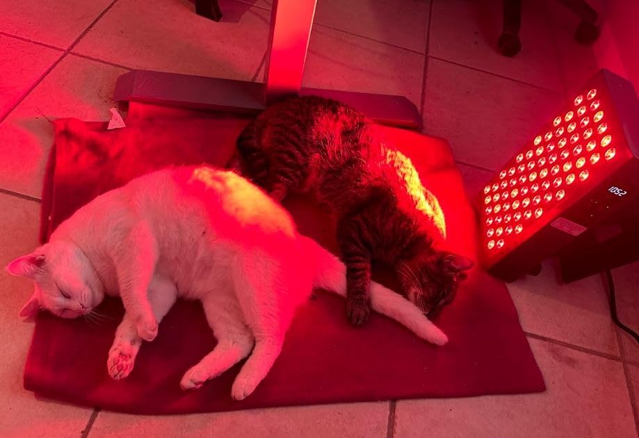 Hooga Red Light Therapy Panel Device - 630nm 660nm 810nm 850nm Red & Near Infrared Light Therapy, LED Light Therapy Lamp, 72 Quad Chip LEDs, Adjustable Brightness, Pulse Mode - ULTRA360 customer photo 1