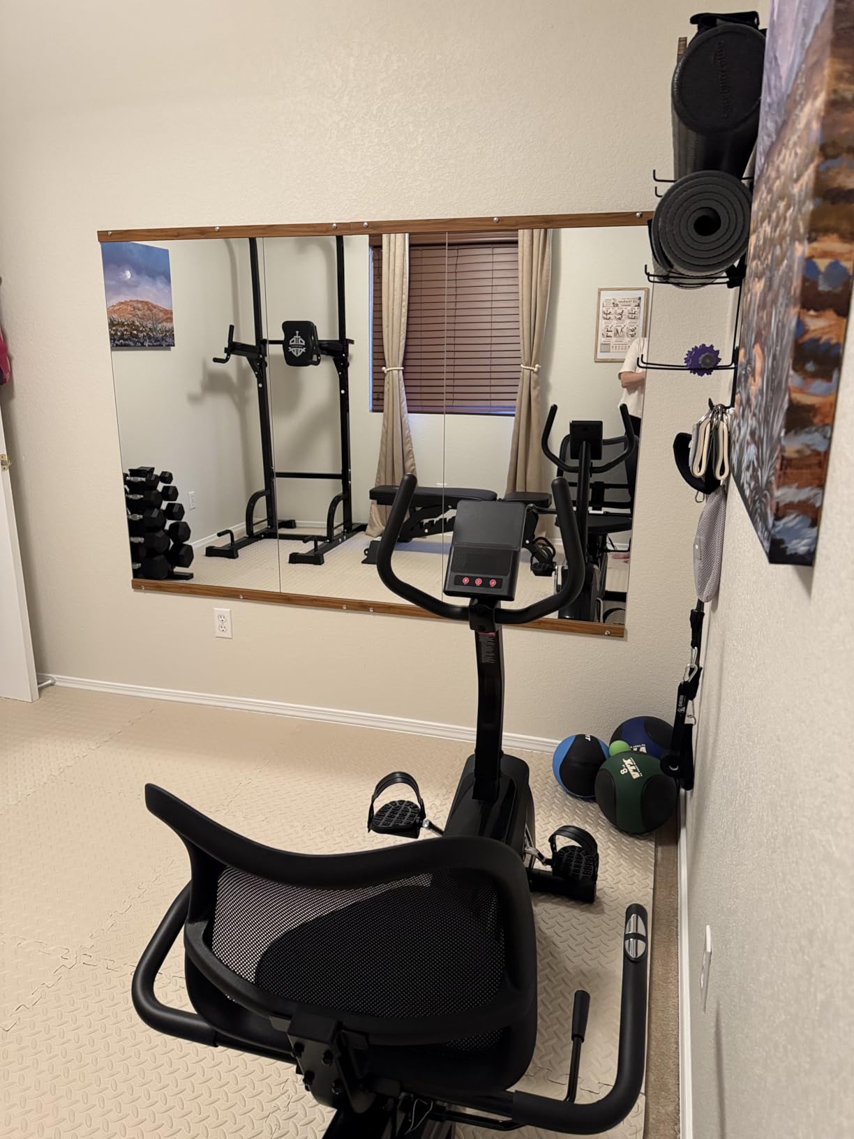 Hasipu Home Gym Mirror 48