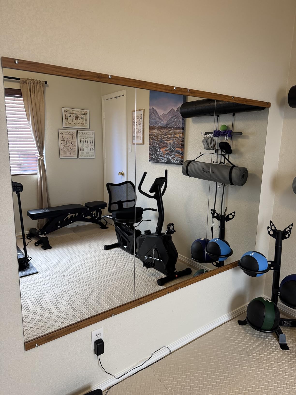 Hasipu Home Gym Mirror 48