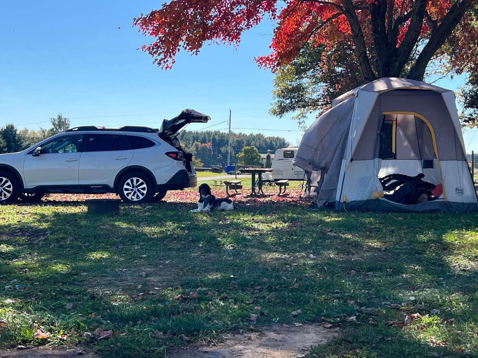 Timber Ridge Truck-Bed-Tents SUV Camping Tent | Weather Resistant and Portable Van or Car Tent, Includes Rainfly and Storage Bag customer photo 1