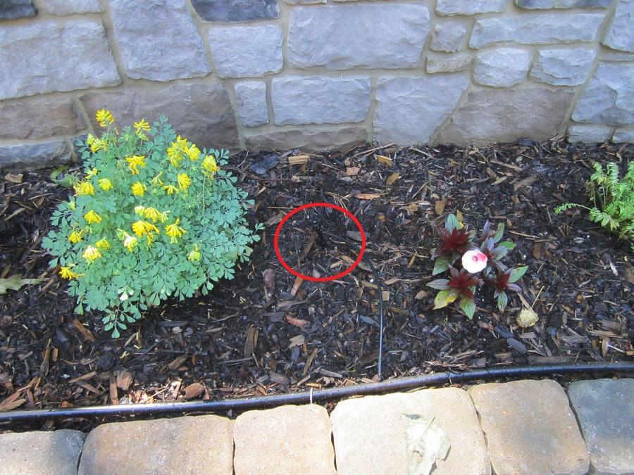 Orbit 69600 Shrub and Flower Bed Drip Irrigation Kit with B-hyve (Gen 2) Smart Hose Watering Timer customer photo 1