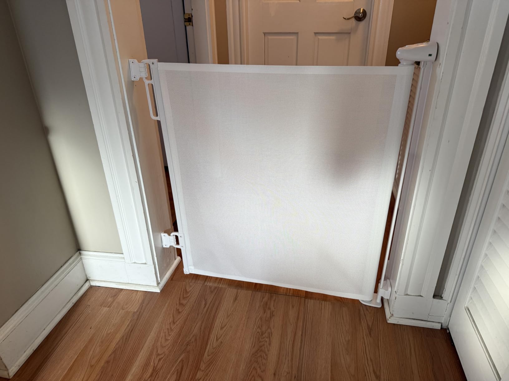 Retractable Baby Gates for Stairs & Doorways | PRObebi Retractable Dog Gate for the House Extends to 54