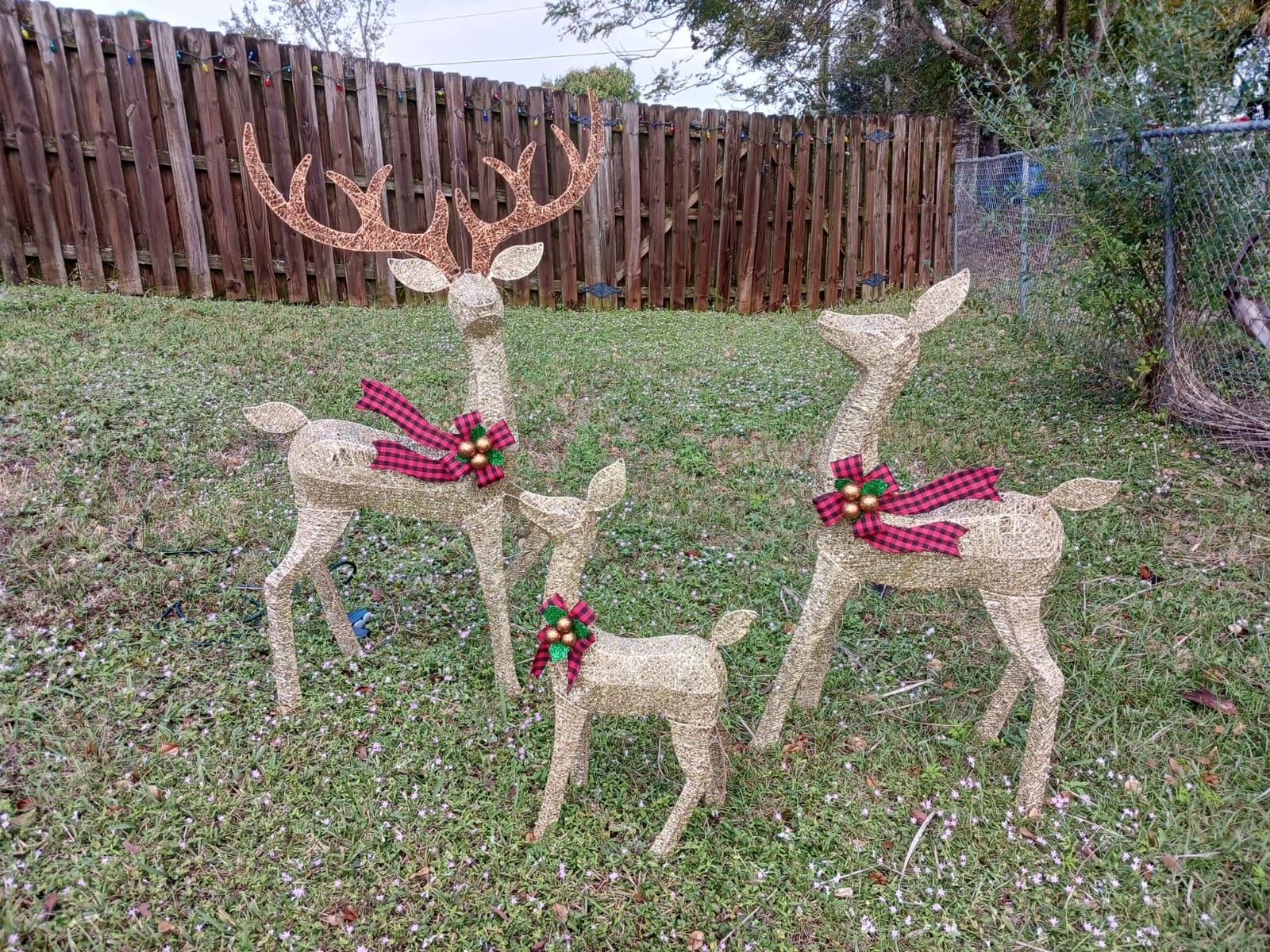 3-Piece Large Deer Family - HOYECHI Lighted Christmas 3D Reindeer Outdoor Yard Decoration Set w/ 210 LED Lights, Stakes, Zip Ties - Gold customer photo 1