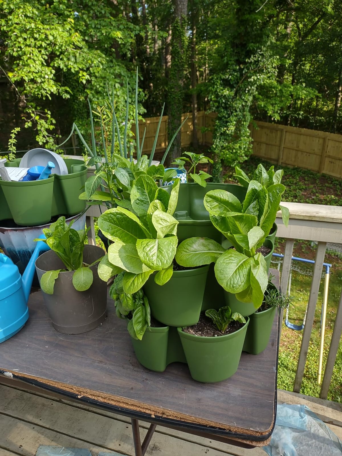 Greenstalk 7 Tier Leaf Vertical Planter for Growing a Variety of Strawberries, Vegetables, Herbs, & Flowers (Evergreen) customer photo 1