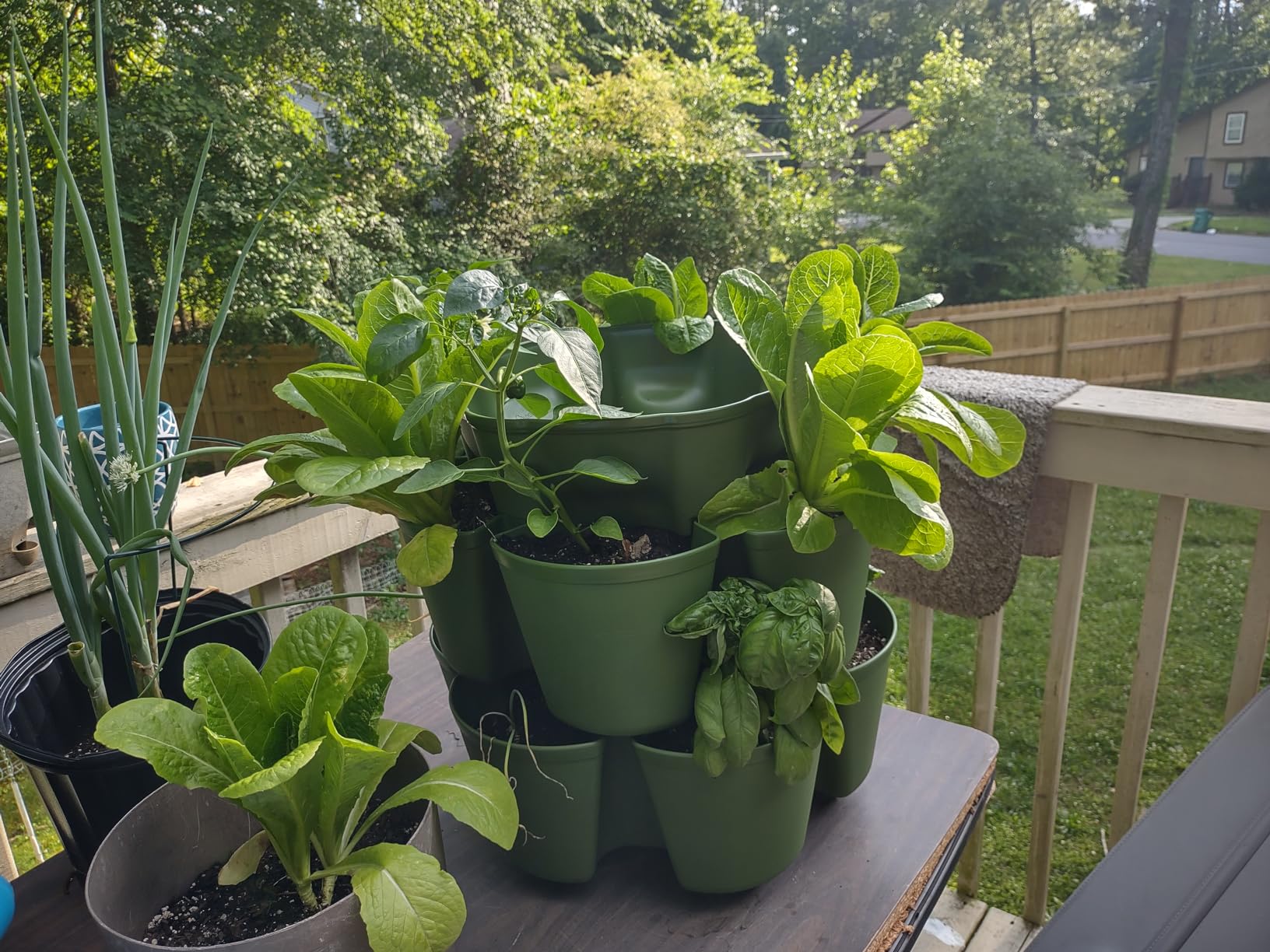 Greenstalk 7 Tier Leaf Vertical Planter for Growing a Variety of Strawberries, Vegetables, Herbs, & Flowers (Evergreen) customer photo 2