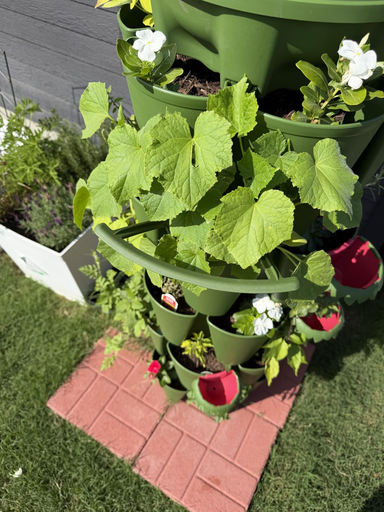 Greenstalk Patented Large 5 Tier Vertical Garden Planter with Patented Internal Watering System Great for Growing a Variety of Strawberries, Vegetables, Herbs, & Flowers (Evergreen) customer photo 1