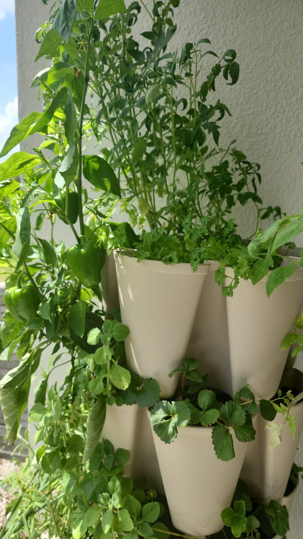 Greenstalk Patented Large 5 Tier Vertical Garden Planter with Patented Internal Watering System Great for Growing a Variety of Strawberries, Vegetables, Herbs, & Flowers (Evergreen) customer photo 2
