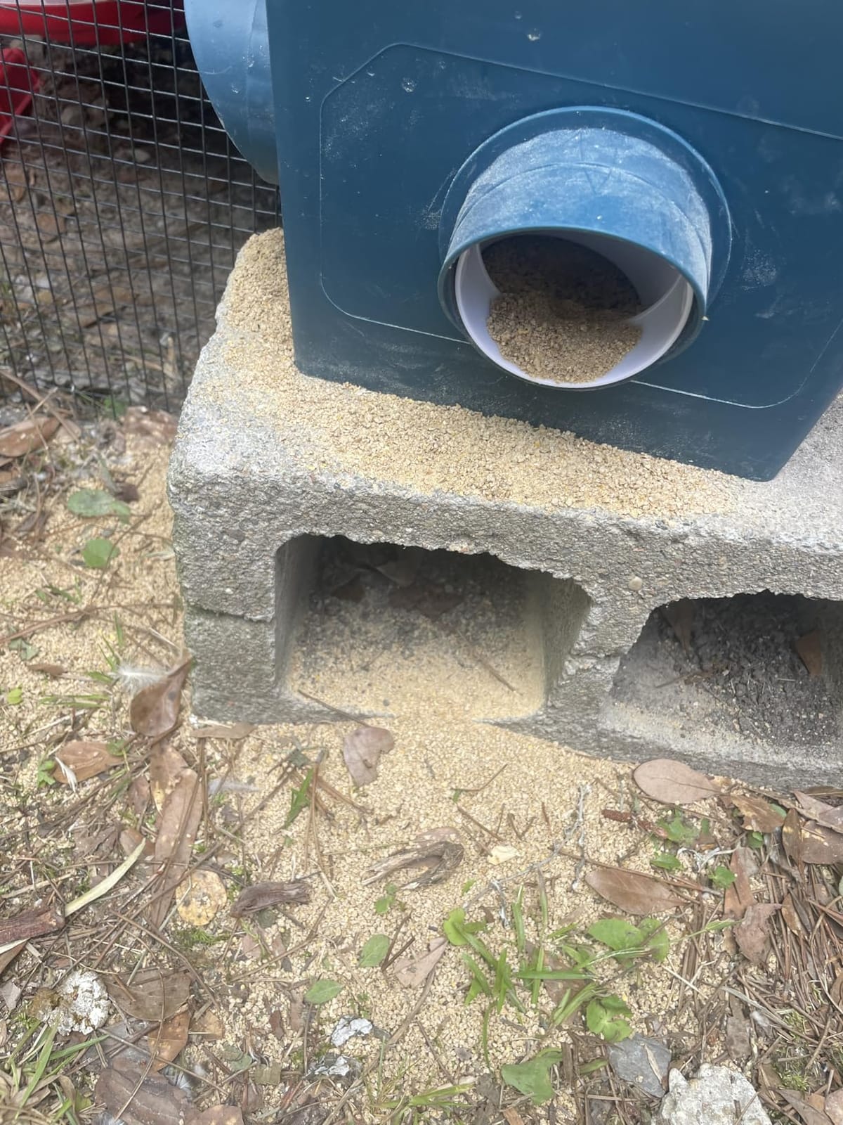 Automatic Port Chicken Feeder and Cup Waterer Set | Chicken Coop Accessories, No Waste Poultry Feeder, 3 Gallon/16 Pounds customer photo 2