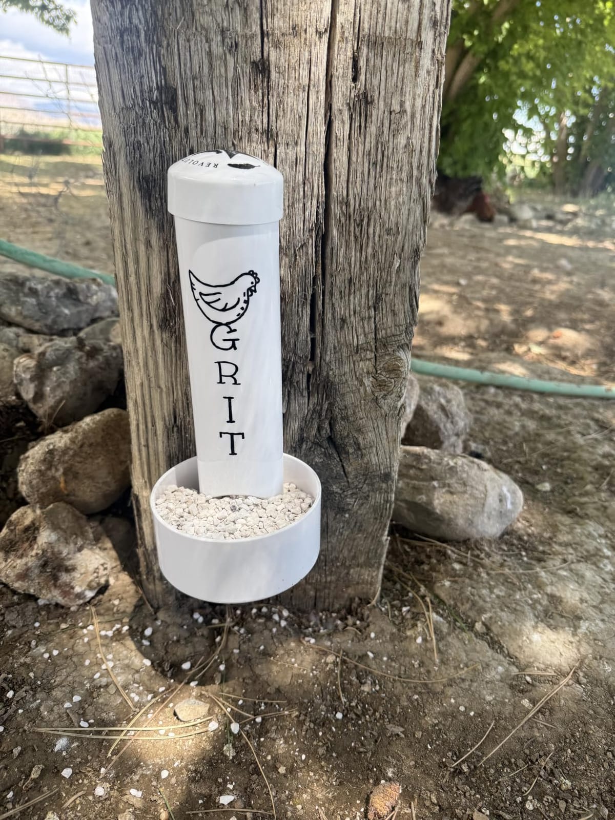 Chicken Oyster Shell Feeder and Grit Feeder Combo customer photo 1