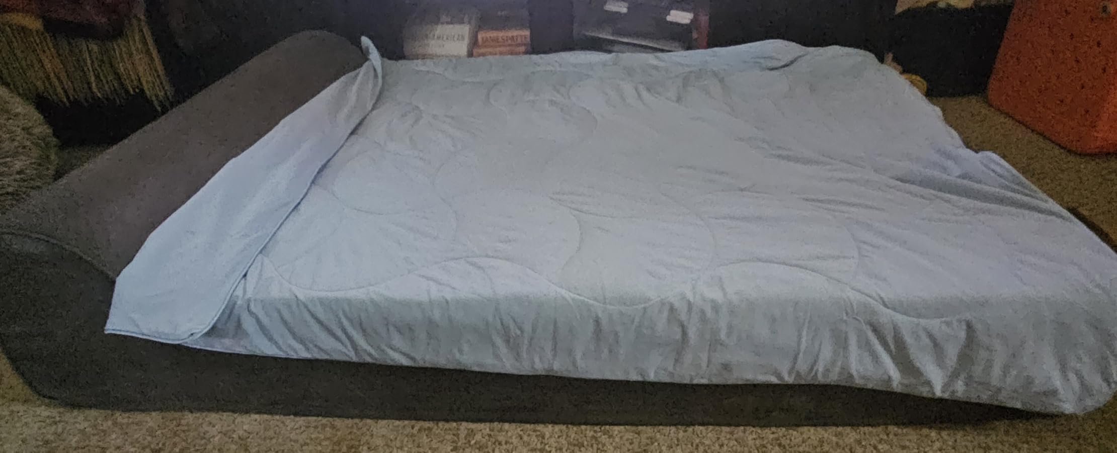 Rainmr Orthopedic Dog Beds for Large Dogs, 7