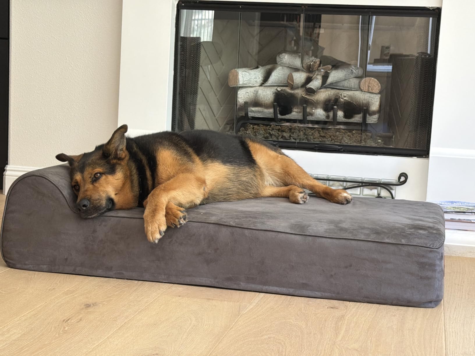 Rainmr Orthopedic Dog Beds for Large Dogs, 7