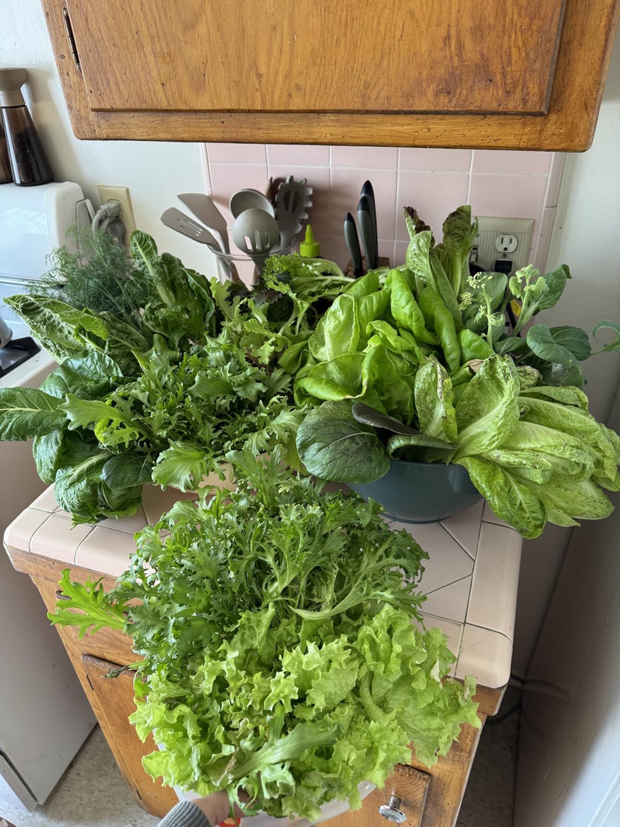 Lettuce Grow Farmstand Nook 4ft.7