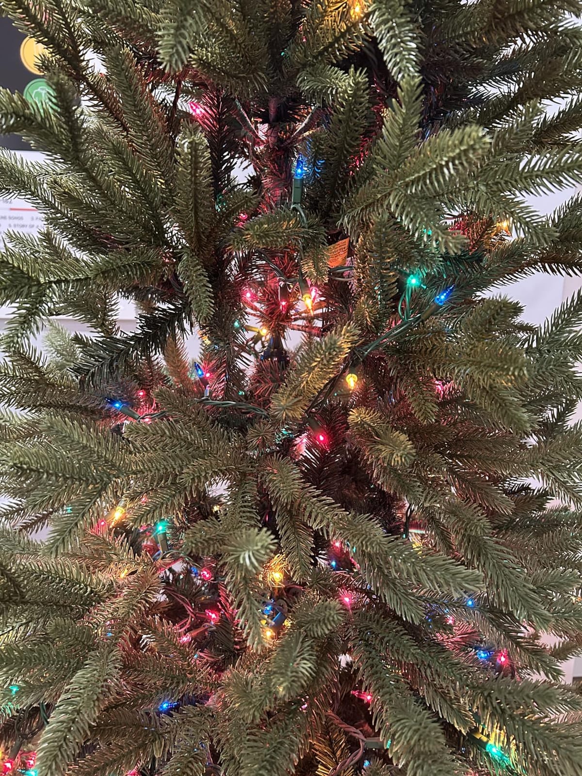 Balsam Hill Silverado Slim - Realistic Narrow Christmas Tree with True Needle Foliage with Premium Stand & Easy Assembly for Indoor Holiday Decorating, Unlit, 7' customer photo 2