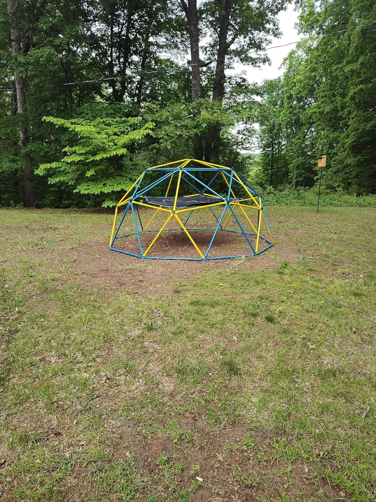 10 ft Climbing Dome with Hammock and Swing Seat | Heavy Duty Metal Dome Climber - ASTM Certified, 800 lbs, Rust-Resistant, Moveable for Mowing, 3D Setup, Ages 3-12 customer photo 2