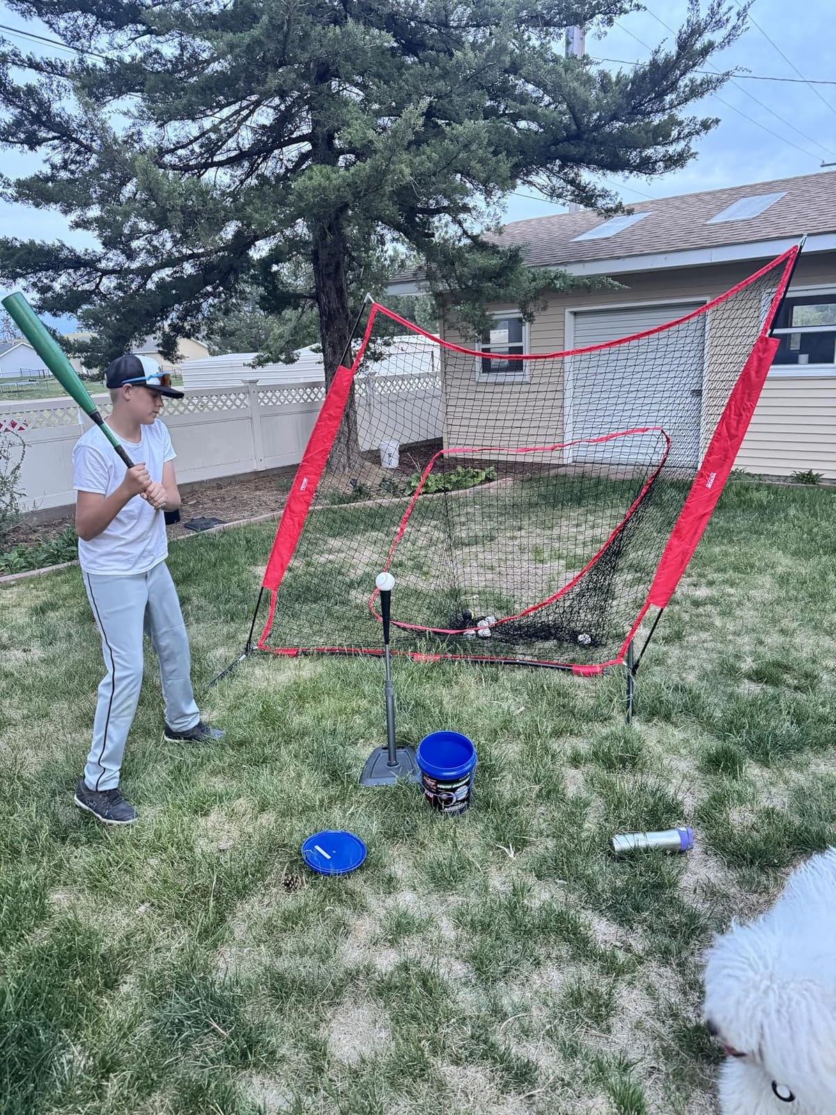 VEVOR 7x7ft Baseball Softball Practice Net, Portable Baseball Training Net for Hitting Batting Catching Pitching, Backstop Baseball Equipment Training Net customer photo 1