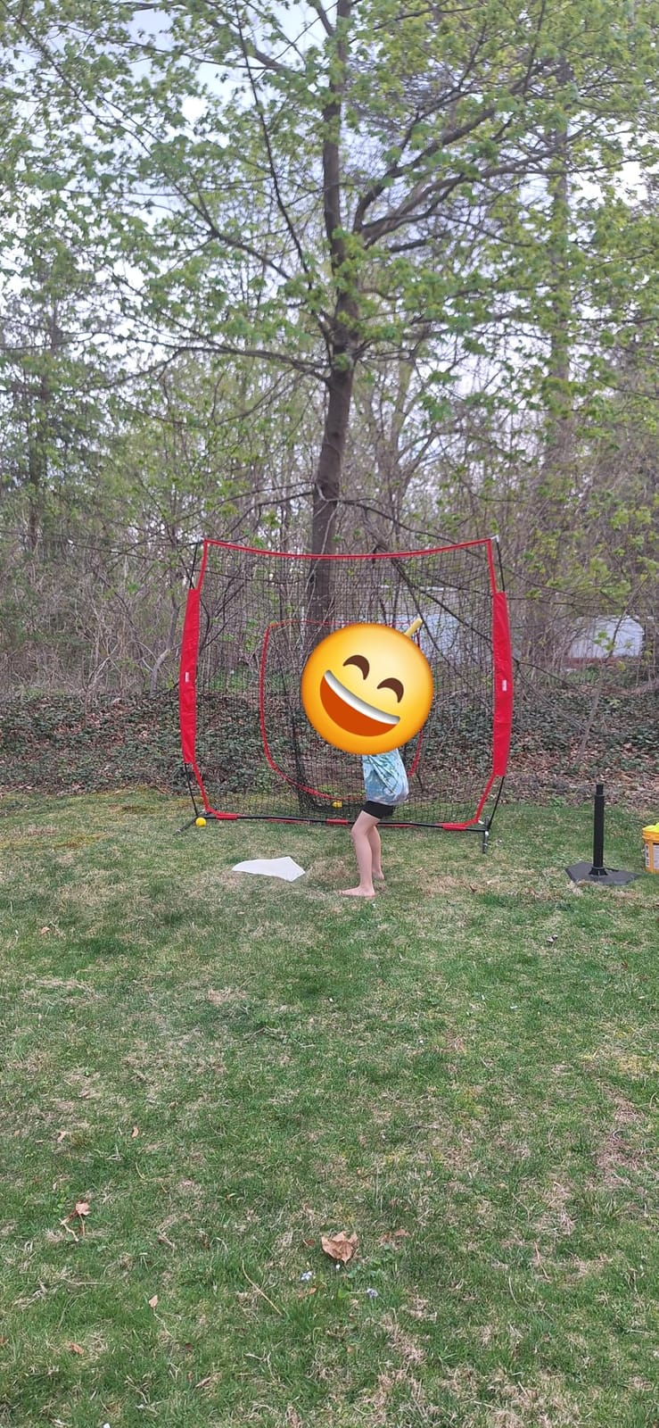VEVOR 7x7ft Baseball Softball Practice Net, Portable Baseball Training Net for Hitting Batting Catching Pitching, Backstop Baseball Equipment Training Net customer photo 2