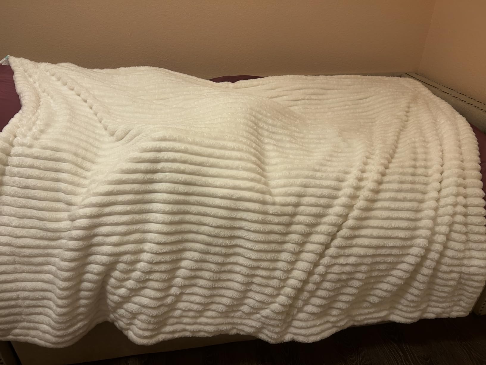 Bedsure Sherpa Throw Blanket for Couch - Super Soft, Comfort Cozy Fleece Thick Warm Blanket for Women, GentleSoft Plush & Fluffy Spring Throw Gift for Women, Room Decor, Beige, 50x60 Inches customer photo 2