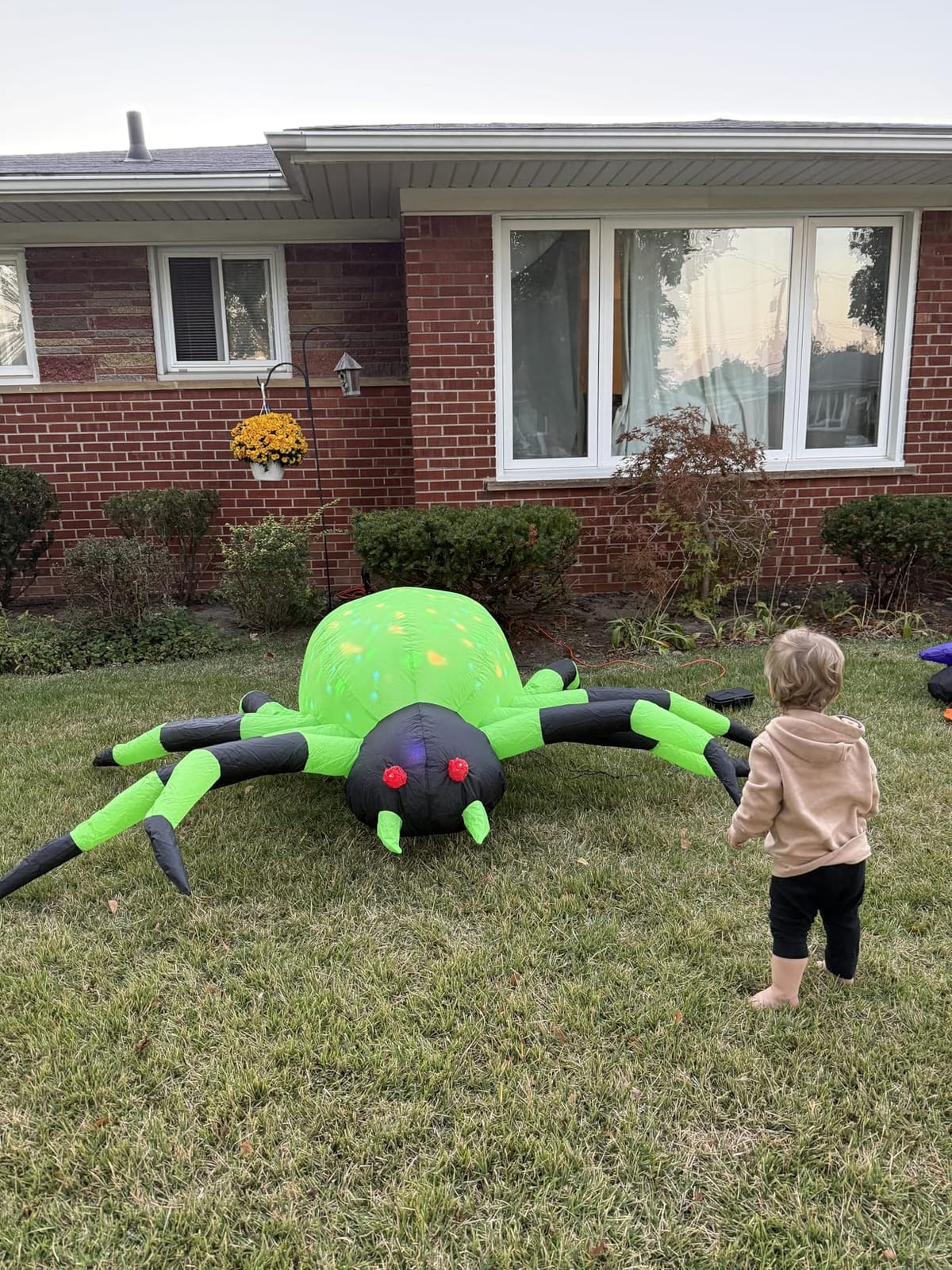 COMIN 9FT Width Halloween Inflatables Outdoor Decorations Spider Blow Up Yard Decoration with Built-in LED for Yard Garden Party Lawn (Green) customer photo 1