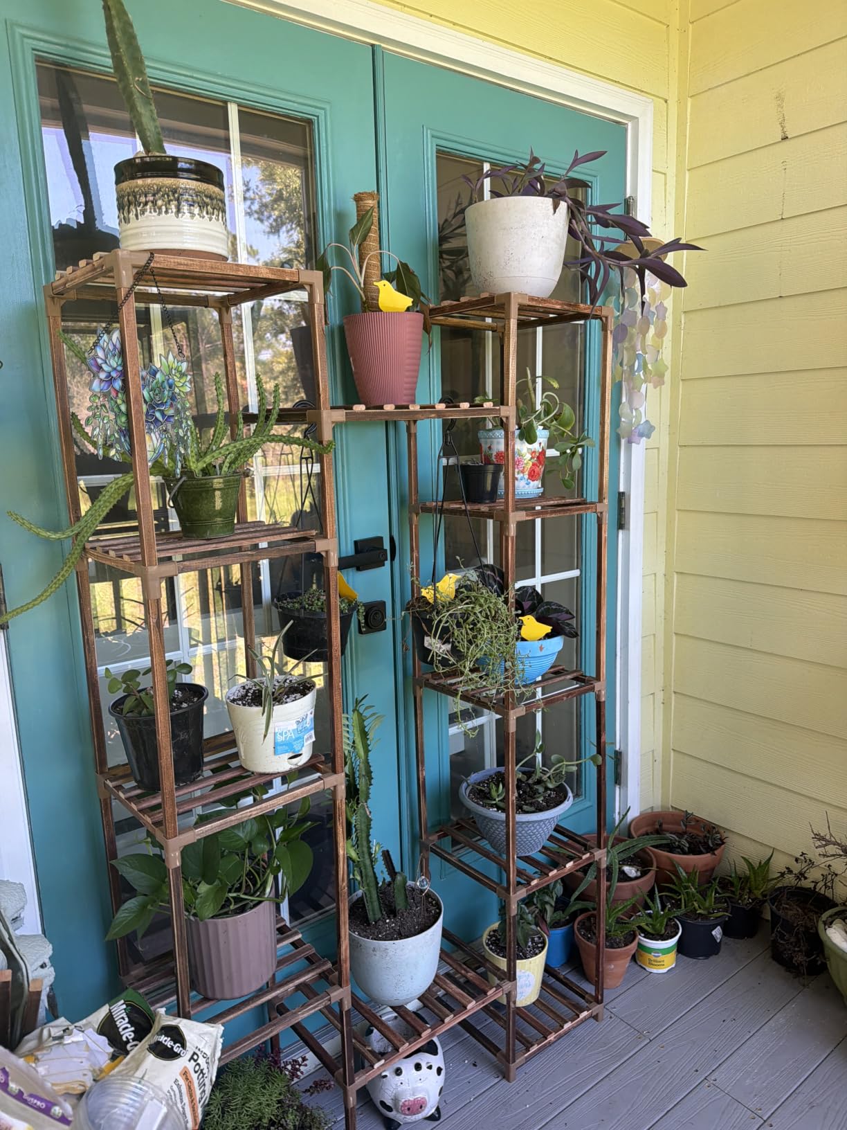 GENTINGBRO Plant Stand Indoor Outdoor 62.2 Inch Tall Plant Shelf Large Tiered Flower Stands for Multiple Display Wood customer photo 1