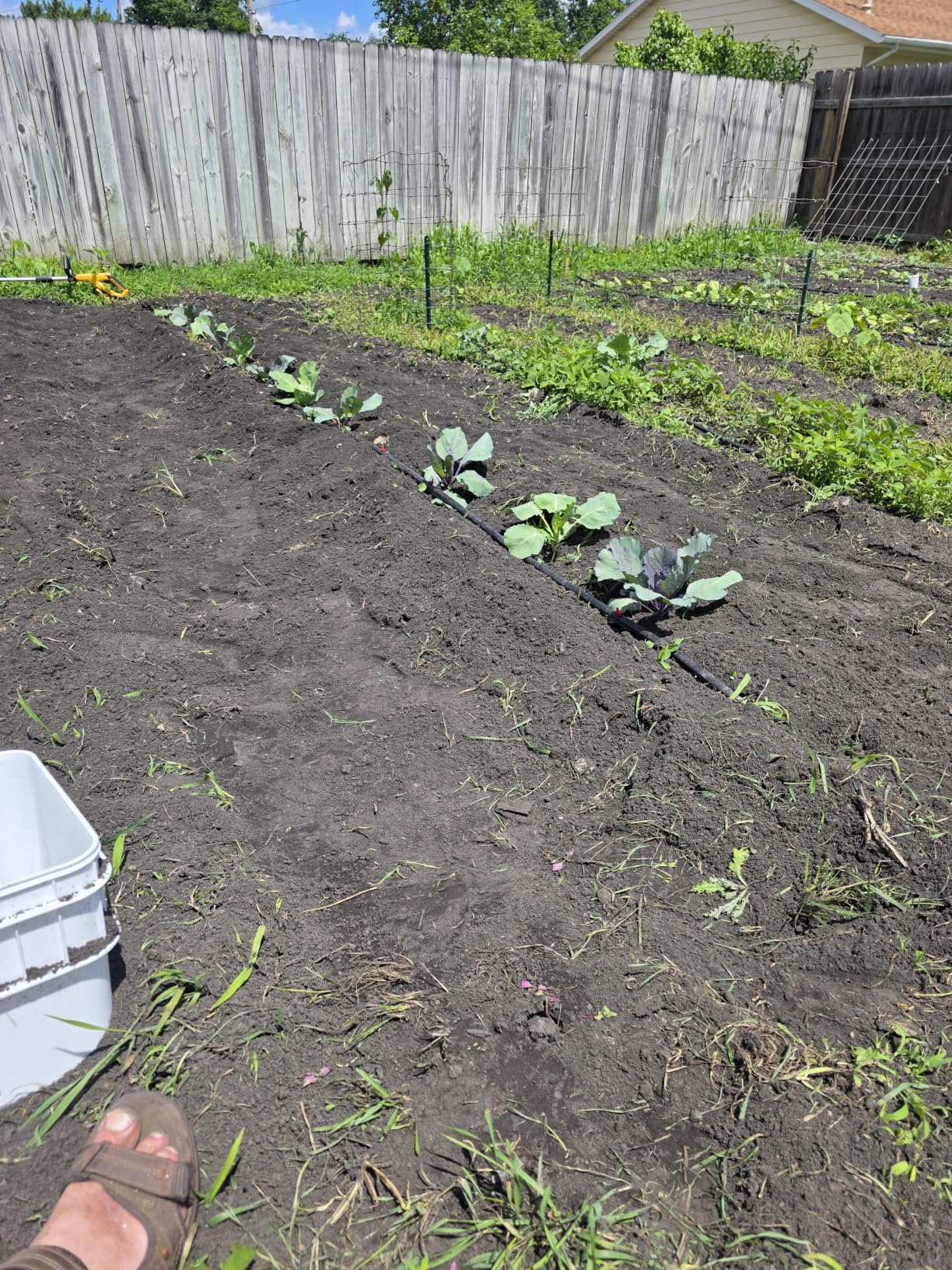 Alloyman 20V Cordless Tiller Cultivator, 360RPM Electric Garden Tiller with 2x4.0Ah Batteries & Charger customer photo 1