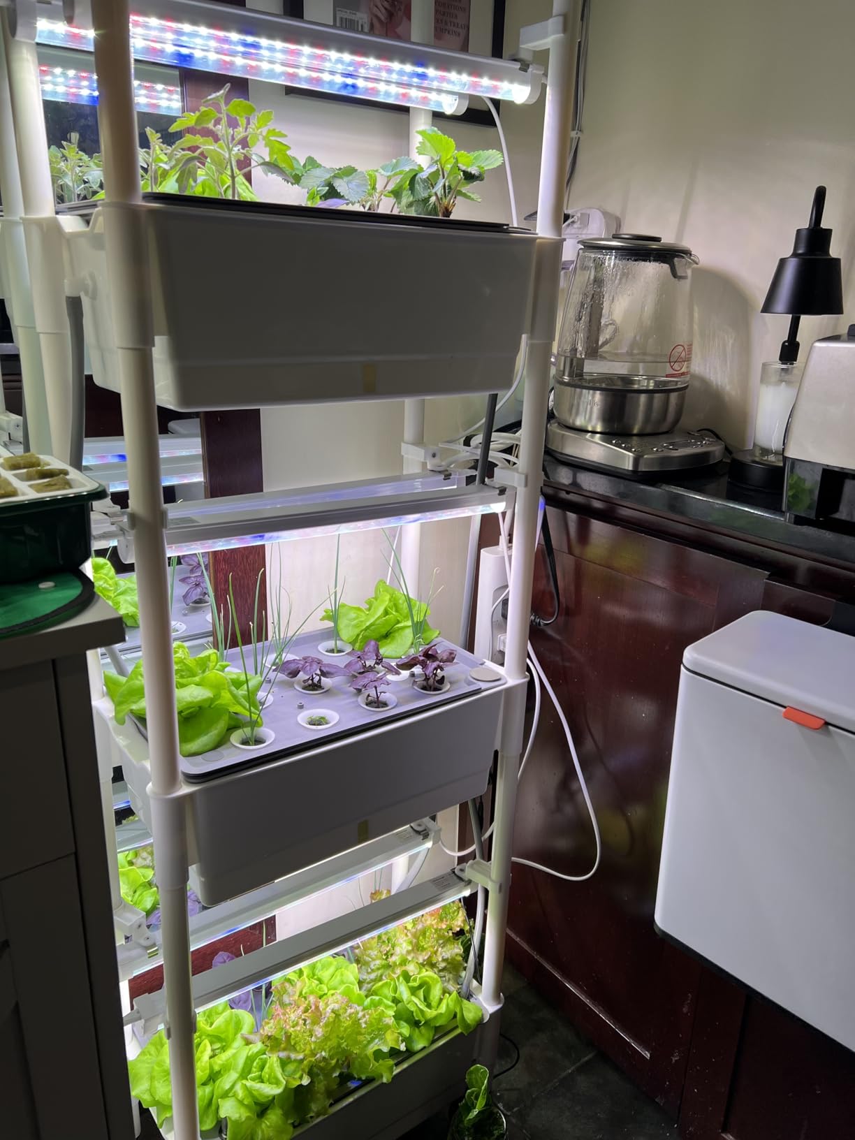 Hydroponics Growing System, AOONEG 42Pods Indoor Herb Garden with LED Grow Light, Hydroponics Growing System Kit with Automatic Timer, Pump System, Adjustable Height (No Seed, Glossy White, 3Layer-42Pods) customer photo 2