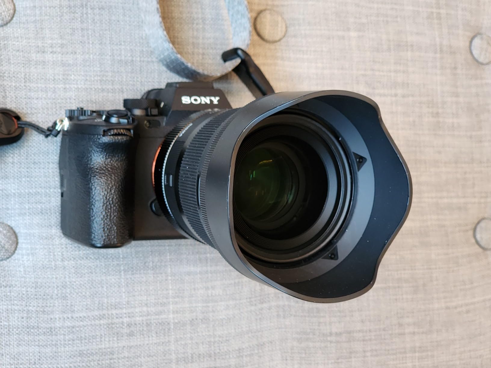 Sigma 50mm F1.2 DG DN Art for Sony E | Focus breathing suppressed, superb Art F1.2 customer photo 2