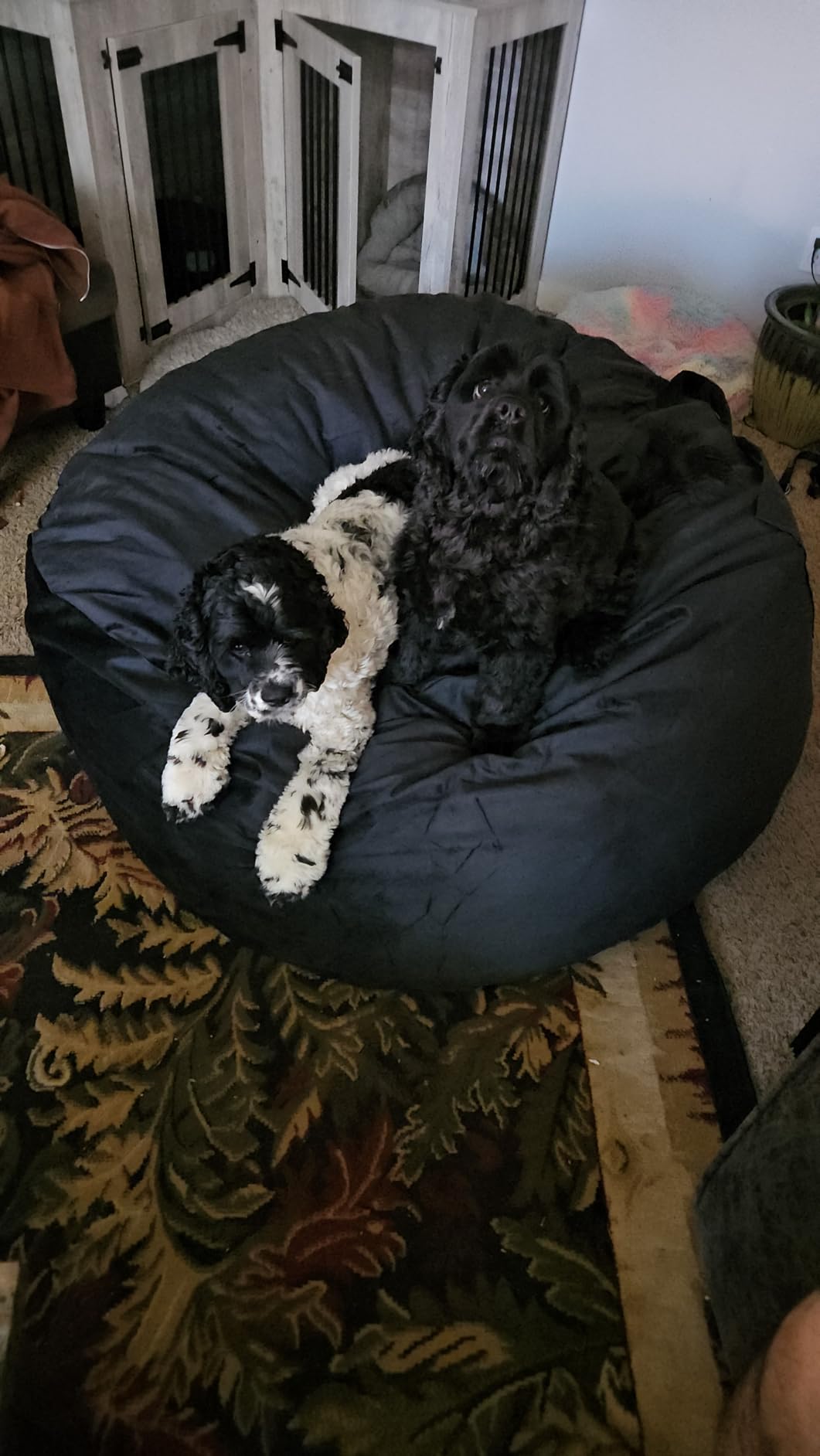 Bean Bag Chairs, Memory Foam Stuffing Bean Bag Chair for Adults/Teens/Kids, Velvet customer photo 1