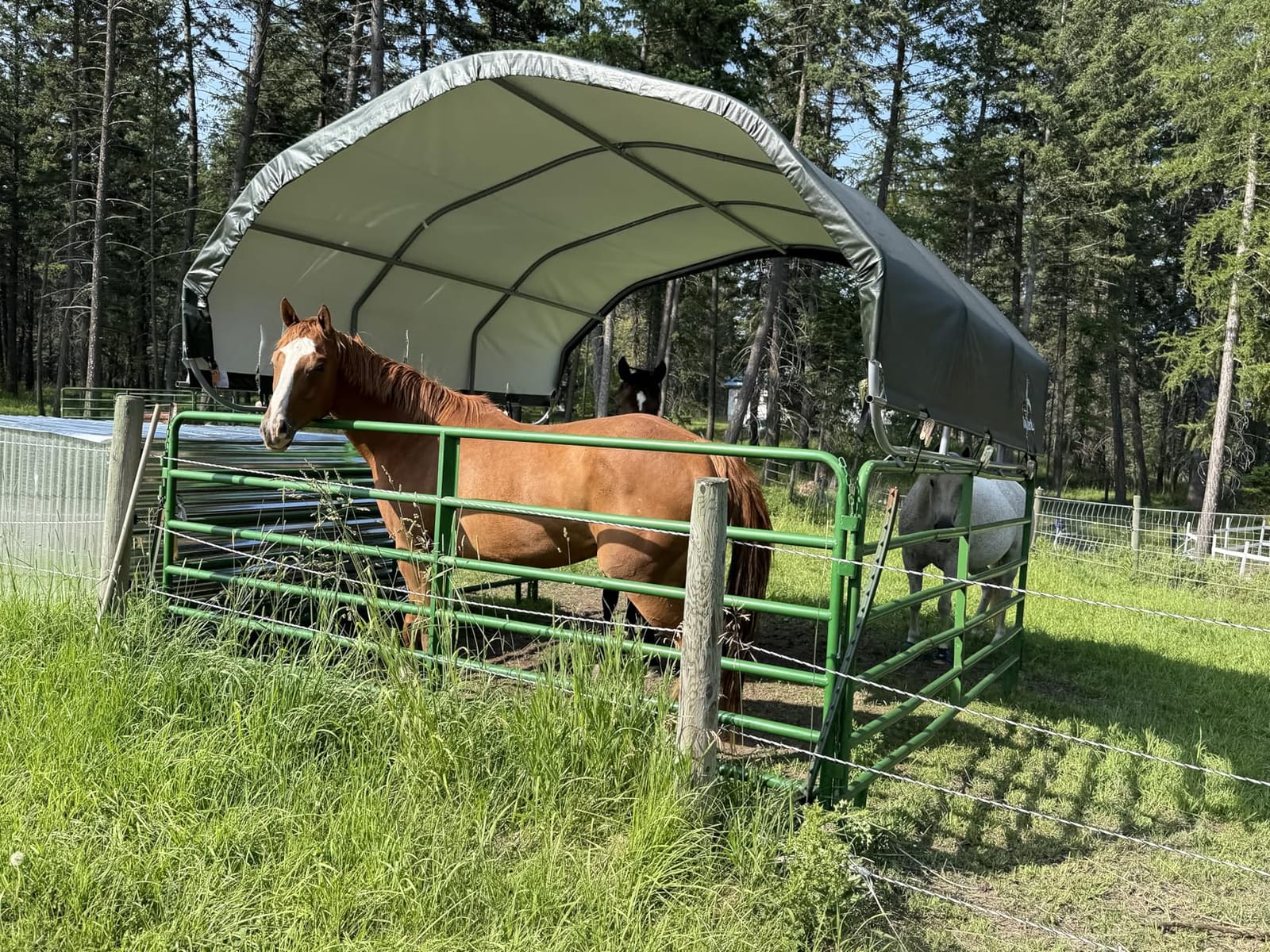 ShelterLogic Standard Replacement Cover 804782-0102, 7.5oz, Green for 51523 12x12 ft. Corral Shelter (Cover only Does not Include Frame or Corral Panels) customer photo 1