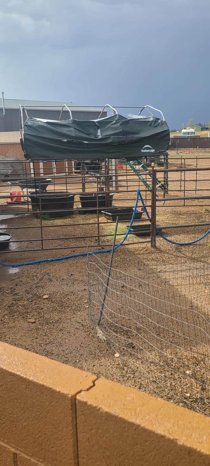 ShelterLogic Standard Replacement Cover 804782-0102, 7.5oz, Green for 51523 12x12 ft. Corral Shelter (Cover only Does not Include Frame or Corral Panels) customer photo 2