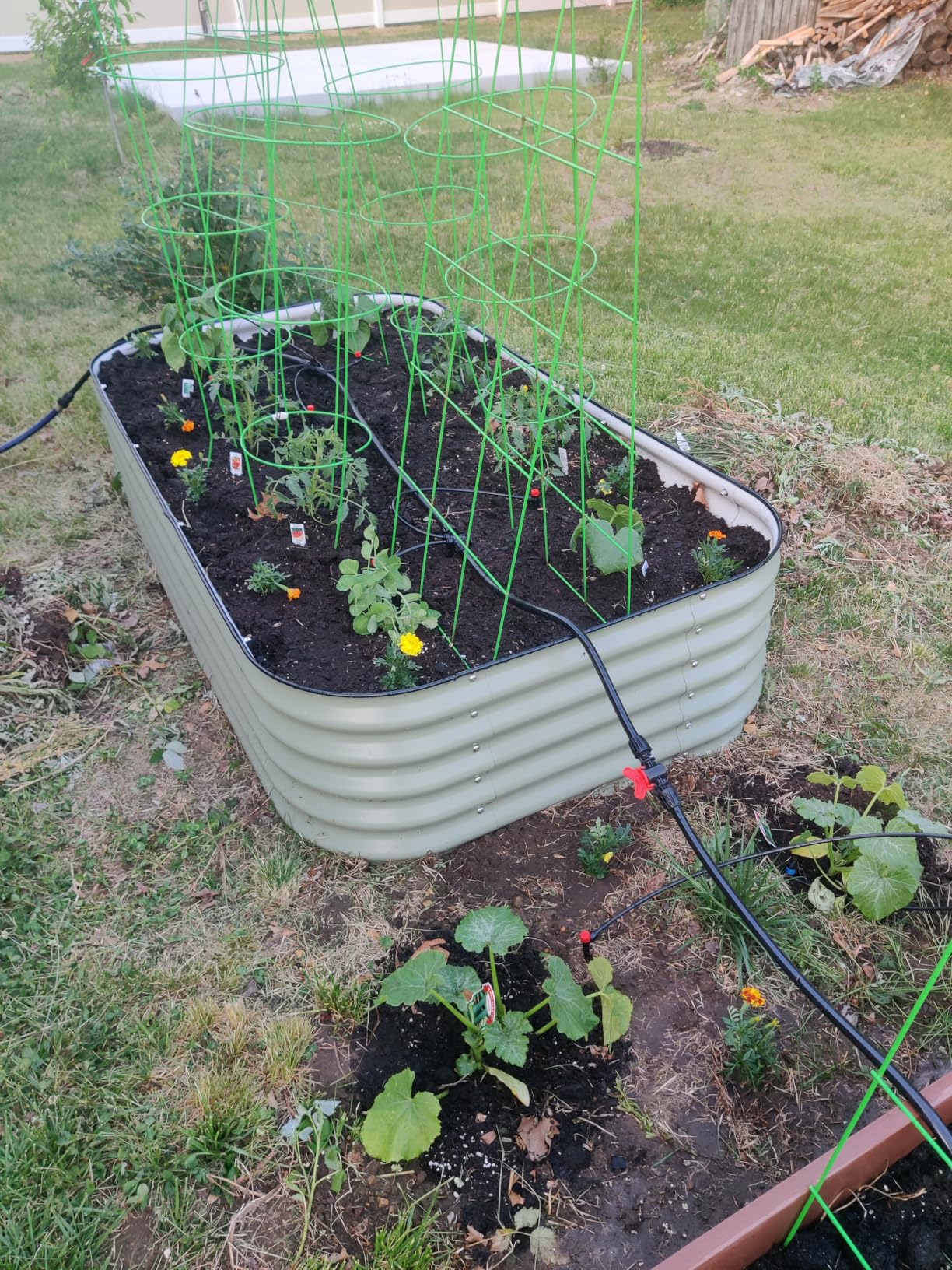 Maotong 240FT Drip Irrigation System Kit New Quick-Connect, Automatic Garden Watering Misting System for Greenhouse, Yard, Lawn, Plant with 1/2 inch Hose 1/4 inch Distribution Tubing and Accessories customer photo 1