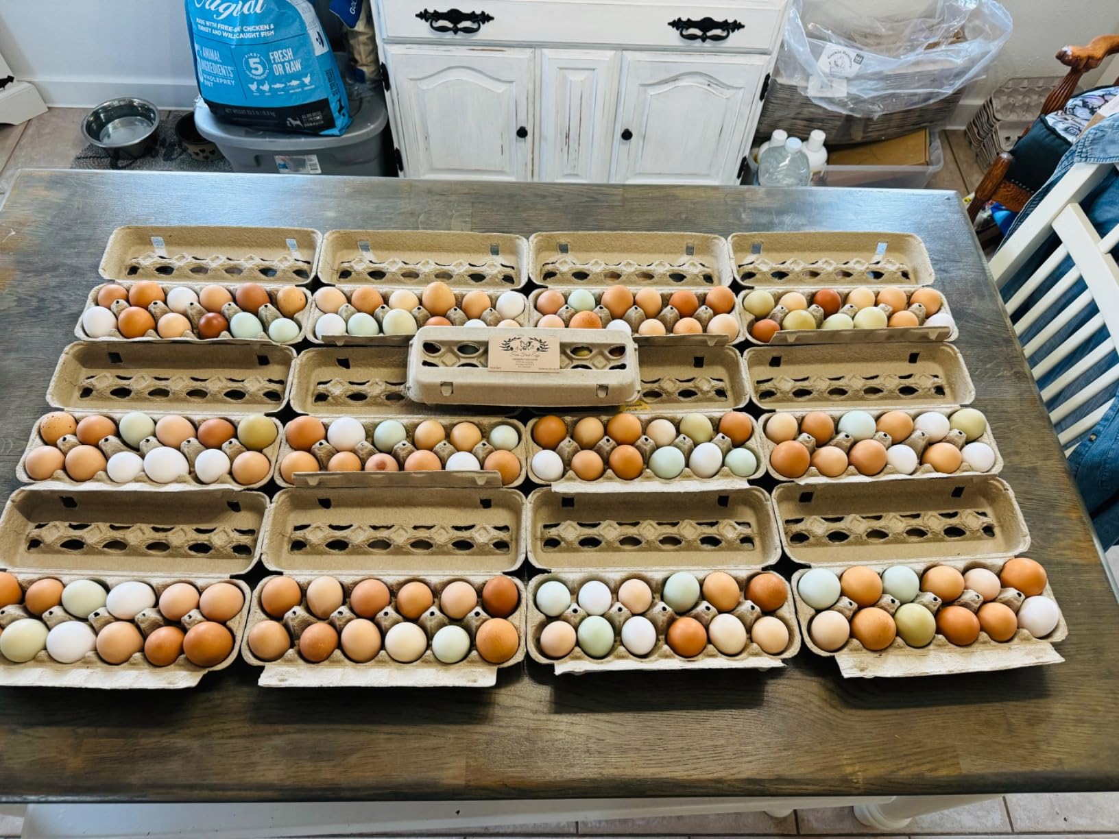 Electric Egg Washing Machine, Egg Washer Machine, Automatic Egg Washer Machine, 2300 Pcs/H Chicken Duck Goose Egg Egg Cleaner Wash Machine (Color : 110V) customer photo 1