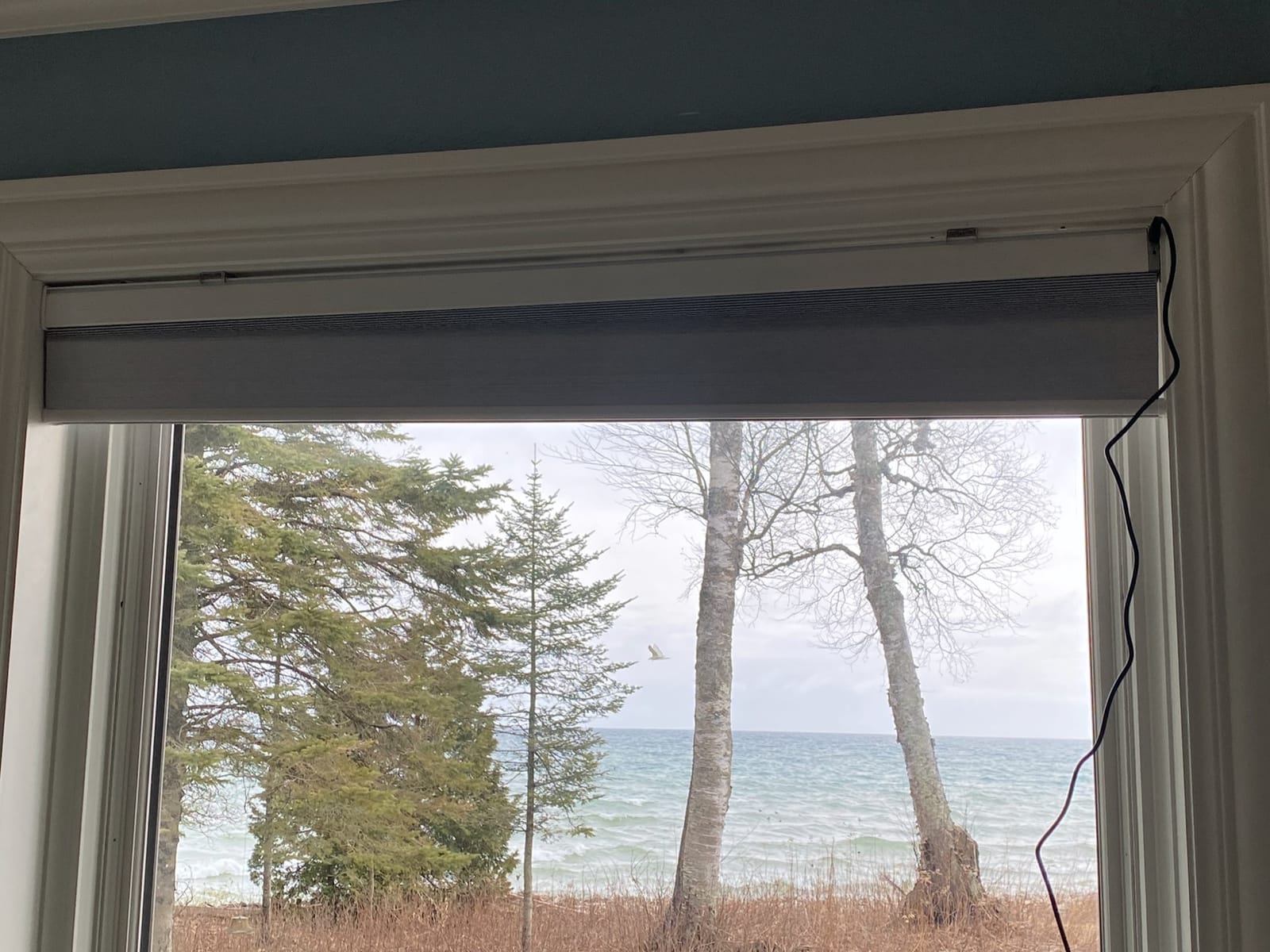 Graywind Smart Custom Cellular Shades Compatible with Alexa Google Blackout Rechargeable Motorized 5/8