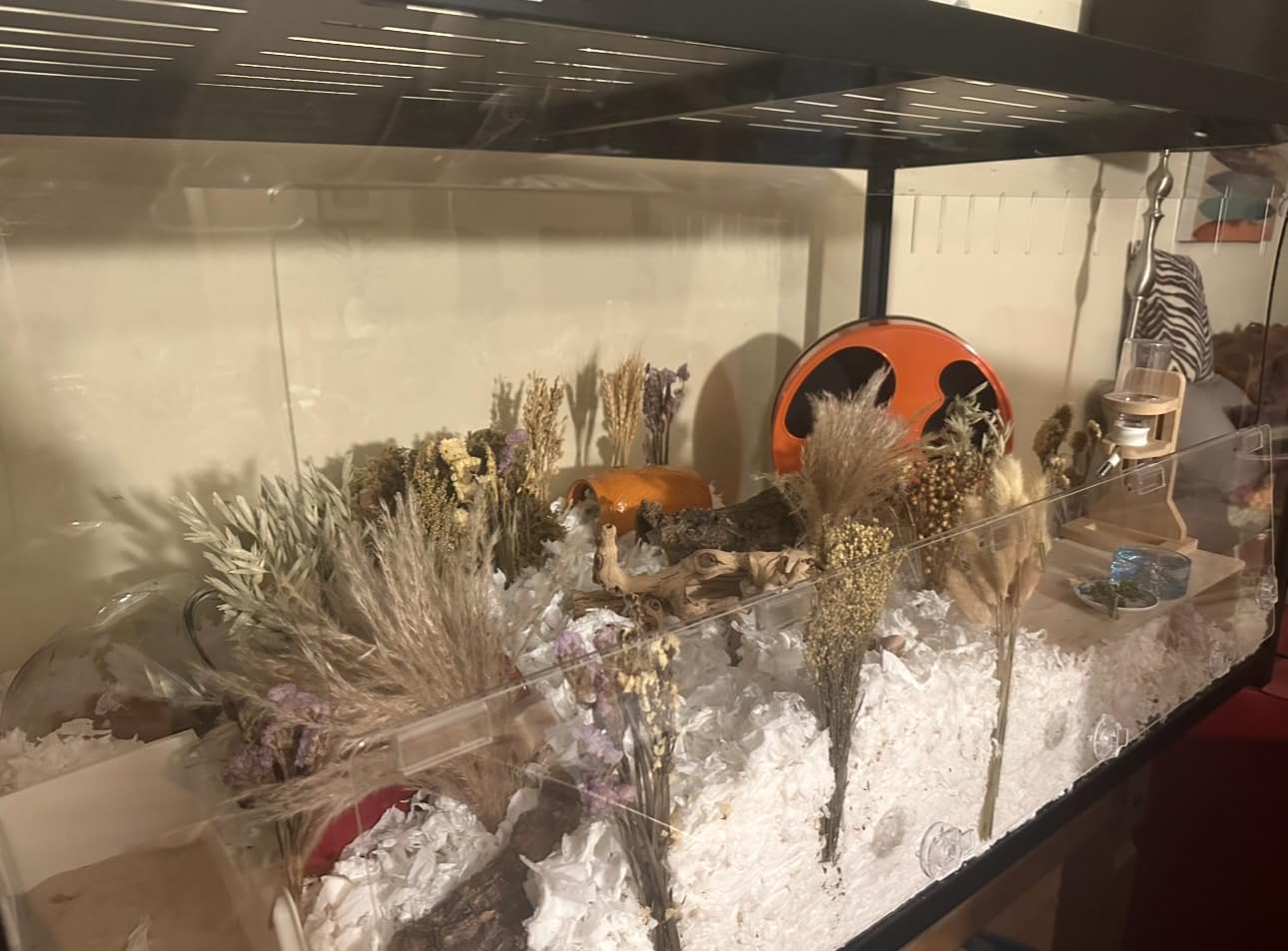 BUCATSTATE Hamster Cage 3.0, Large Hamster Enclosure (39in, White) | 5.4 ft² Small Animal Habitat with Deep Bedding Space for Hamster Enrichment, Stackable Aluminum Frame, Front & Top Access customer photo 2