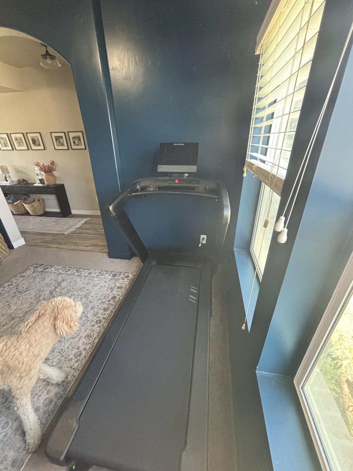 NordicTrack Commercial Series Treadmills customer photo 1