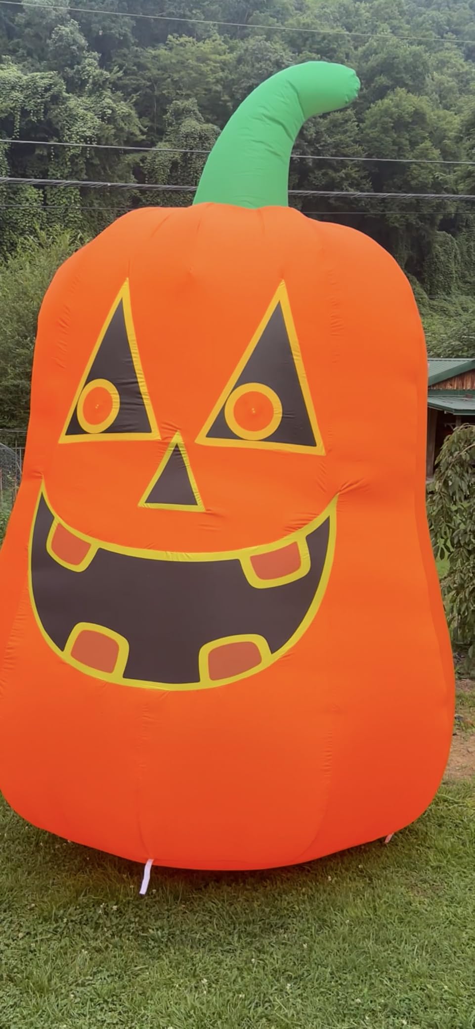 12FT Giant Halloween Inflatable Pumpkin, Blow up Halloween Decoration Built-in 6 LED and Flashing Light for Halloween Decoration Outdoor Indoor Home Party Supplies Halloween Lawn Decor customer photo 2
