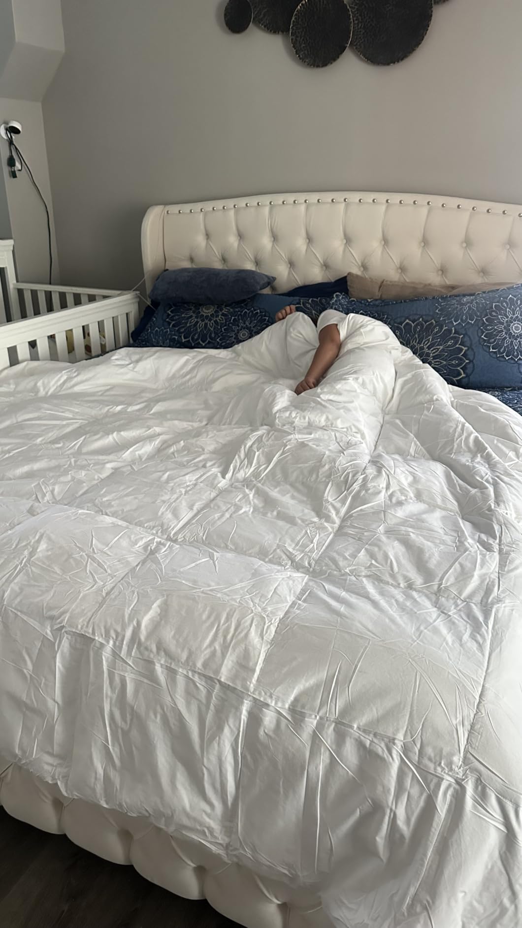 Martha Stewart Goose Feather Down Fiber Cotton Comforter Queen Size | Feather Duvet Insert Queen, Hotel Collection Hypoallergenic Comforter All Season Medium Warmth 90 x 90 Inch White customer photo 1
