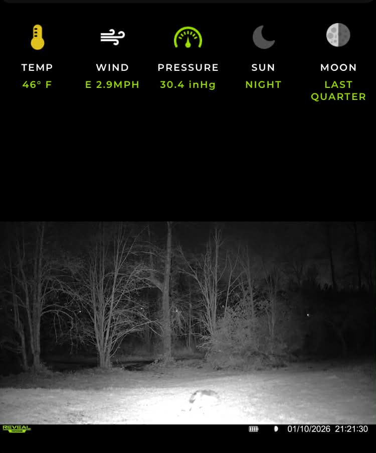 TACTACAM Reveal X 3.0 Cellular Trail Camera, Night Vision, Waterproof | 4K photo, 1080p video; auto-connect multi-carrier LTE; no SD card needed; 6+ month battery life; IP66 rated customer photo 2
