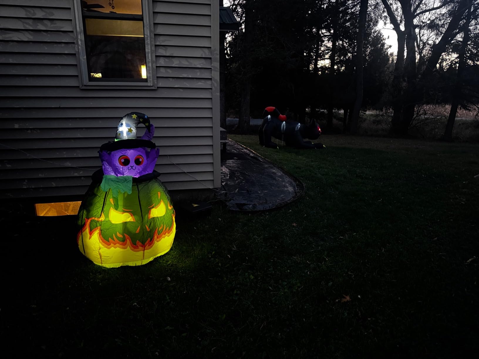 14FT Giant Halloween Inflatable Black Cat, Blow up Halloween Decoration Built-in 7 LED for Halloween Decoration Outdoor Indoor Home Party Supplies Halloween Lawn Decor customer photo 1