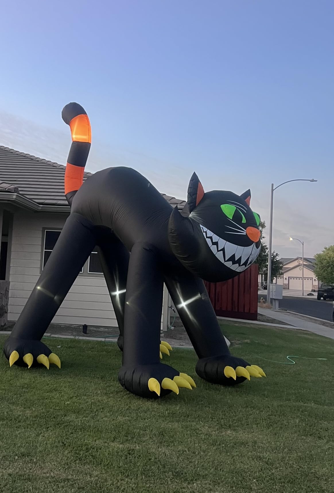 14FT Giant Halloween Inflatable Black Cat, Blow up Halloween Decoration Built-in 7 LED for Halloween Decoration Outdoor Indoor Home Party Supplies Halloween Lawn Decor customer photo 2