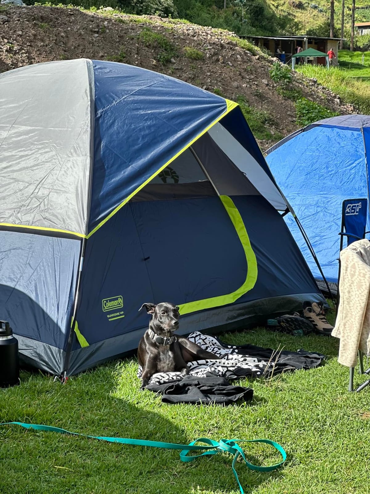 Coleman Sundome Camping Tent with Rainfly, 2/3/4/6 Person Tent Sets Up in 10 Mins, Weatherproof Shelter for Camping, Festivals, Backyard, Sleepovers, & More customer photo 1