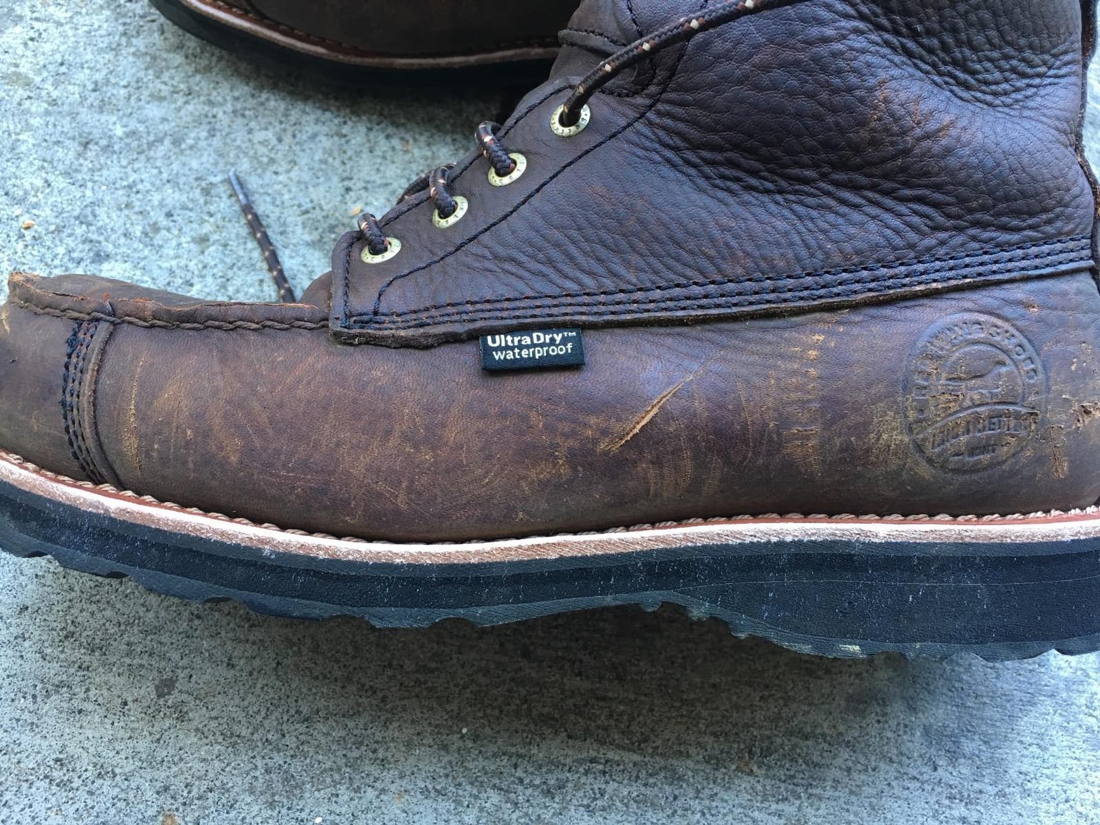 Irish Setter Wingshooter 7