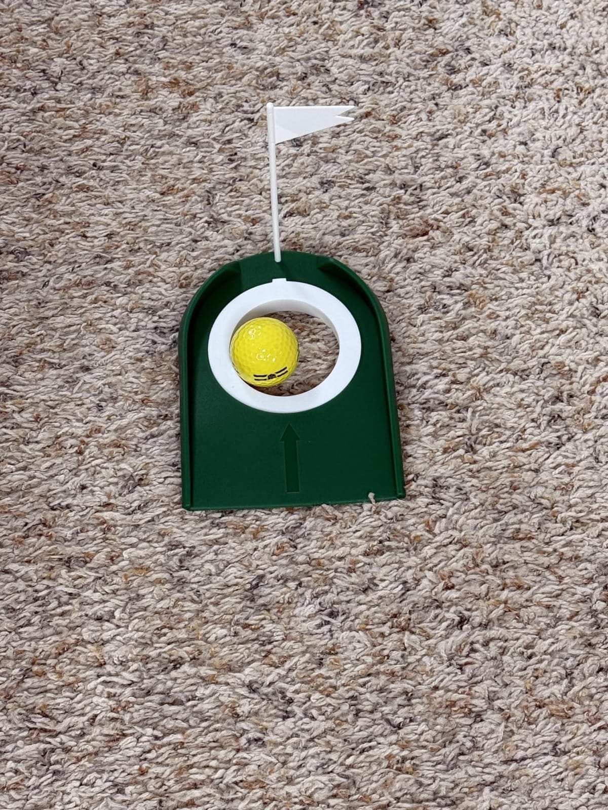 Wekin Golf Putting Green,5x10ft Thickening Professional Large Golf Putting Mat with Realistic Turf for Indoor & Outdoor, Golf Game Practice Equipment customer photo 1