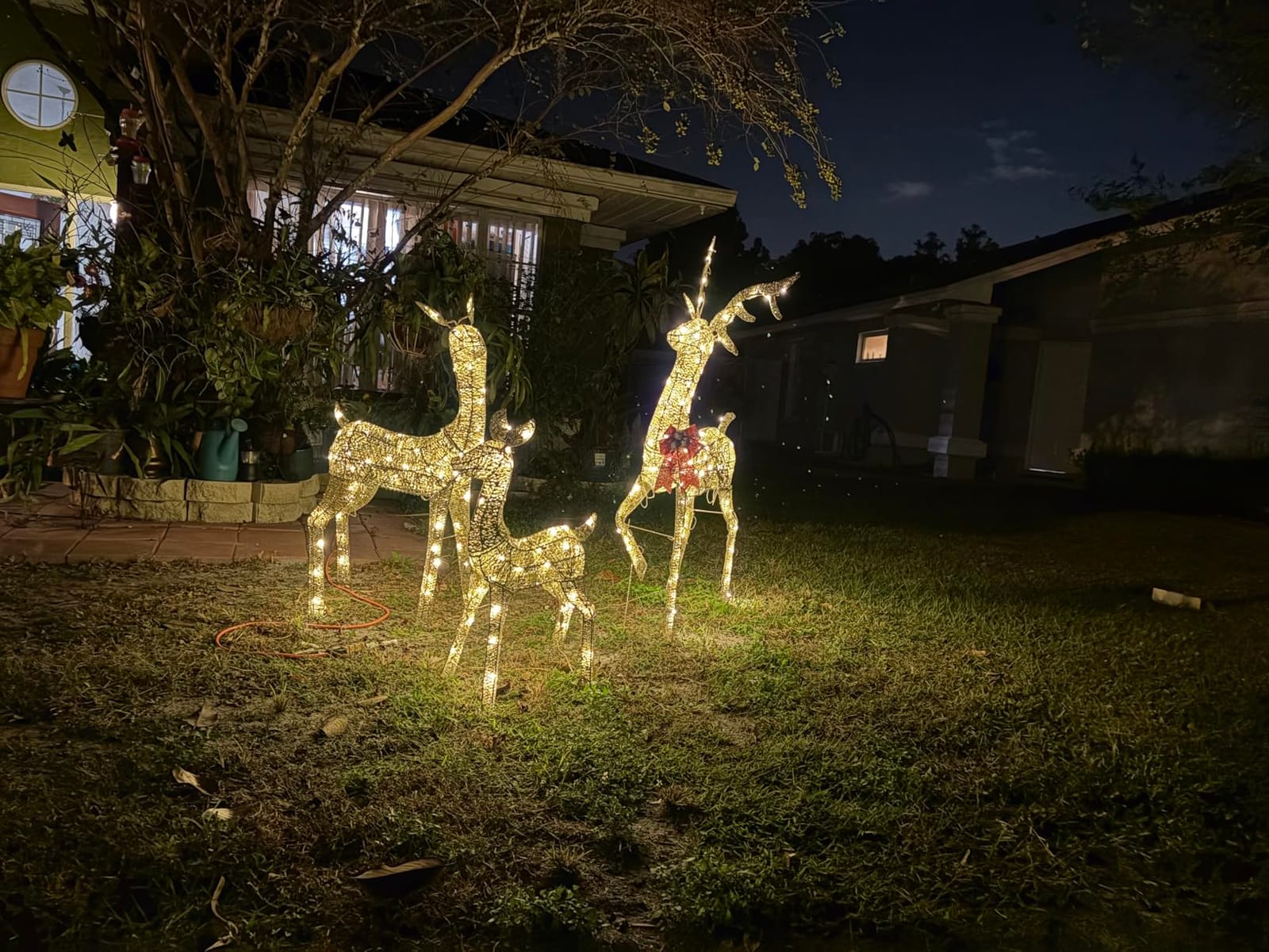 winemana 5ft Reindeer Christmas Outdoor Decorations, Set of 3 Extra Large Deer Yard Decor- Lighted 3D Reindeer Family Set for Outside Lawn Garden Xmas Holiday Party Decor (Gold) customer photo 2
