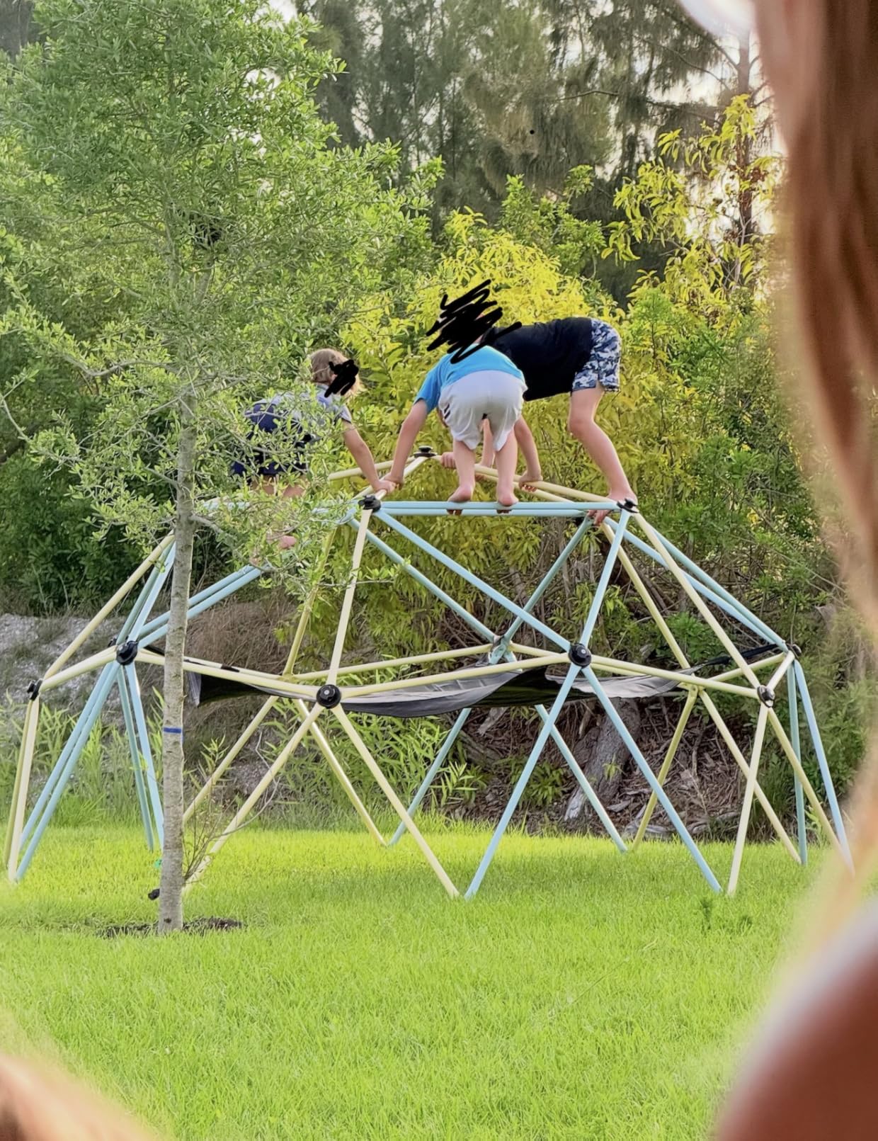 VEVOR Climbing Dome, 6FT Jungle Gym for Kids 3 to 9 Years Old, Geometric Dome Climber Play Center Supports 600LBS and Easy Assembly customer photo 2